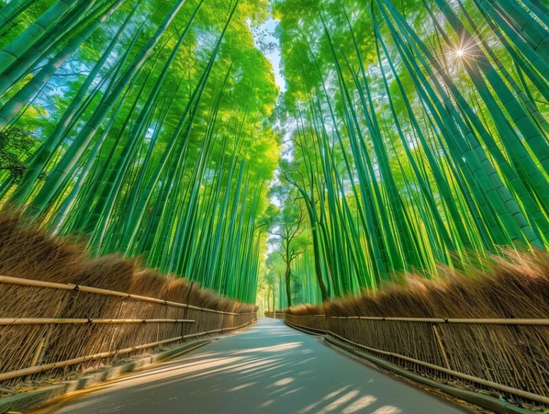 Osaka: Kyoto World Heritage & Nara Cute Deer 1-Day Bus Tour - Itinerary