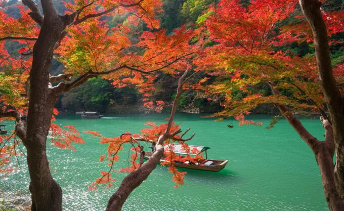 Osaka: Kyoto World Heritage & Nara Cute Deer 1-Day Bus Tour - Arashiyama