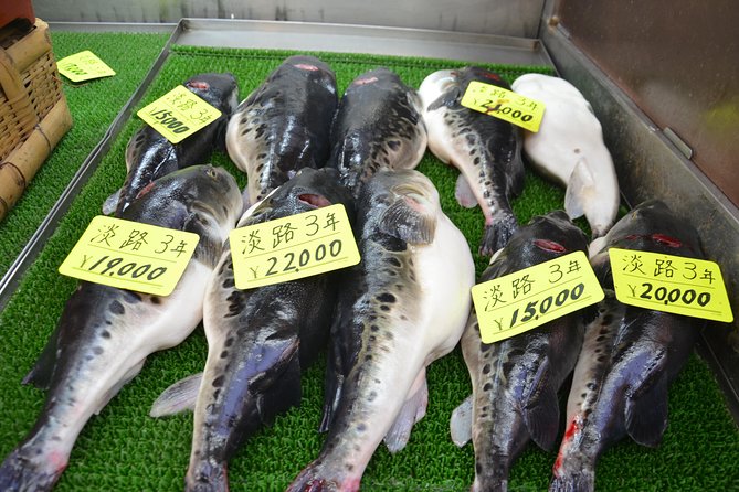 Osaka Market Food Tour - Meeting and Pickup