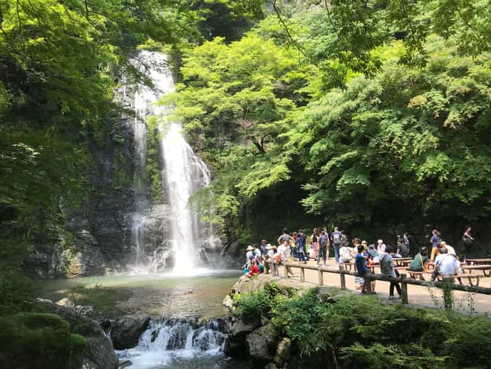 Osaka: Mino Forest Walk and Giant Waterfall With Local Lunch - Highlights of the Experience