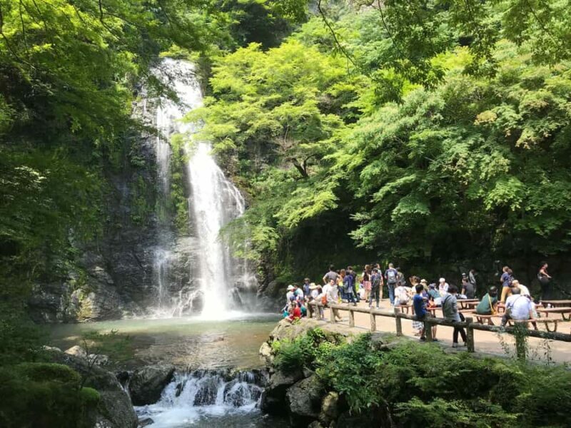 Osaka: Minoh Forest Walk & Giant Waterfall with Local Lunch - The Itinerary: What to Expect on Your Day Out