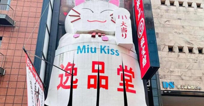 Osaka Namba Hidden Gems: A Friendly Tour Of The Unseen City - Booking and Cancellation Details