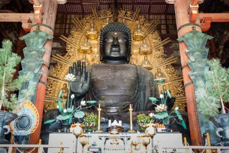 Osaka Nara and Katsuoji Temple Private Tour with Guide - Key Points