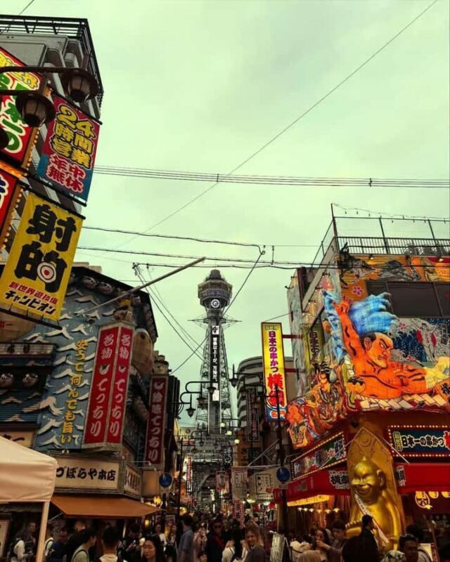 Osaka Nara and Katsuoji Temple Private Tour with Guide - Who Will Love This Tour?