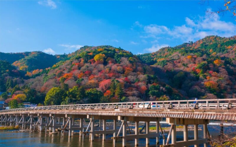 Osaka, Nara and Kyoto Day Trip With English Speaking Driver - Strolling Through the Arashiyama Bamboo Forest