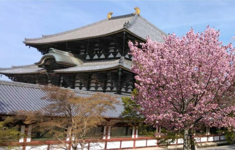 Osaka: Nara and Uji Day Trip with Deer Park and Hot Spring - An Overview of the Experience