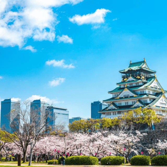 Osaka Nara Private & Custom Tour by English Speaking Driver - Key Highlights