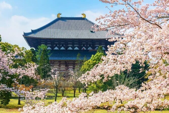 Osaka: Nara, Todaiji, Uji Matcha, and Hot Spring Tour - Meeting and Departure Details