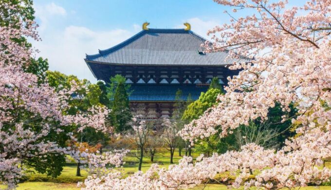 Osaka: Nara, Todaiji, Uji Matcha, and Hot Spring Tour - Important Tour Information