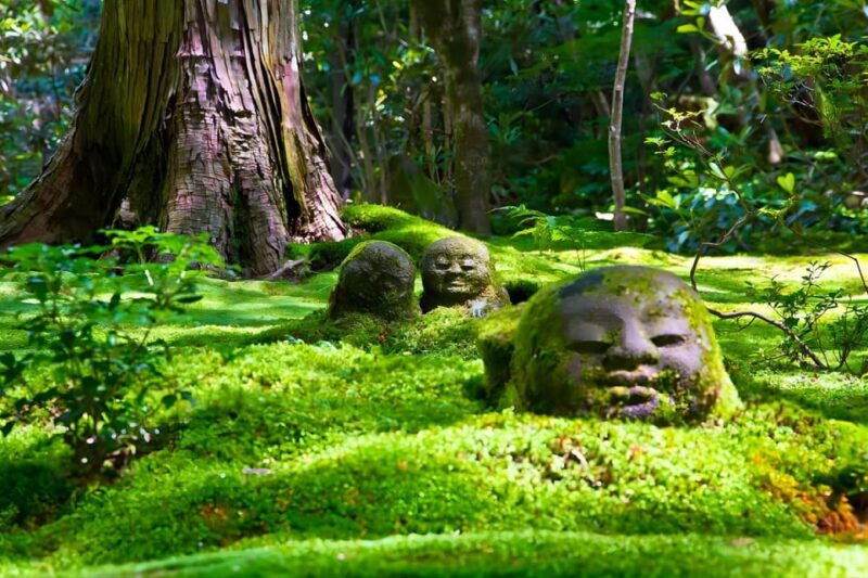 Osaka: Nara & Uji Day Tour: Deer Park, Matcha & Hot Springs - Uji Attractions