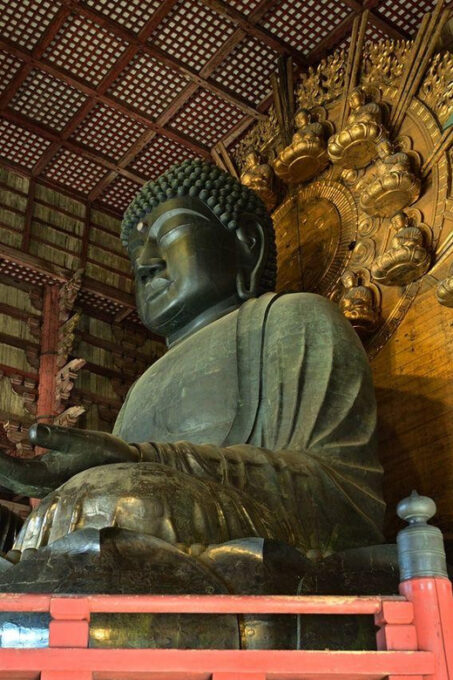 Osaka: Nara & Uji Day Tour: Deer Park, Matcha & Hot Springs - Byodoin Temple