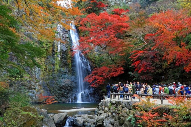 Osaka Nature Walking Tour - Minoh Hidden Beauty - Sights and Attractions