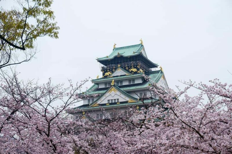 Osaka: Osaka Castle & Samurai History Walking Tour - Final Thoughts: Who Will Love This Tour?