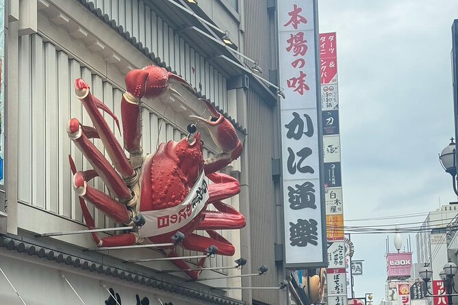 Osaka Private Customizable Sightseeing Tour With Chauffeur - Top Attractions in Osaka