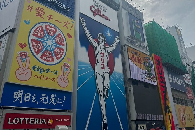 Osaka Private Customizable Sightseeing Tour With Chauffeur - Customizing Your Sightseeing Experience