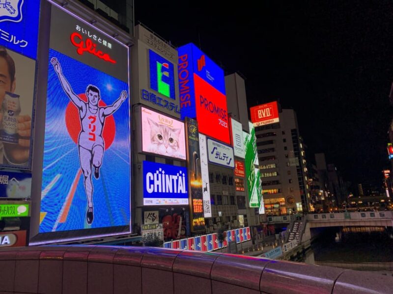 Osaka: Private Food & Bar Tour in Namba - 3 Drinks & Dishes - Tasting Traditional Dishes Like Doteyaki and Chiritori Hotpot