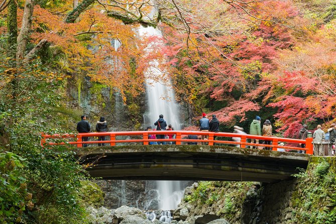 Osaka Private Food Tours by Local Foodies: 100% Personalized - Included in the Experience