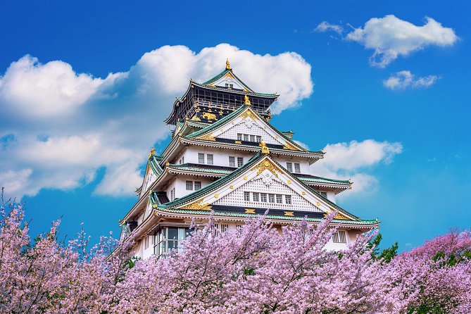 Osaka Private Food Tours by Local Foodies: 100% Personalized - Customizing the Food Tour