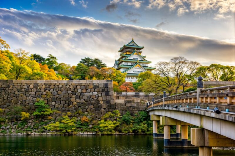 Osaka Private Tour With an English-Speaking Driver - Expert Driver Insights