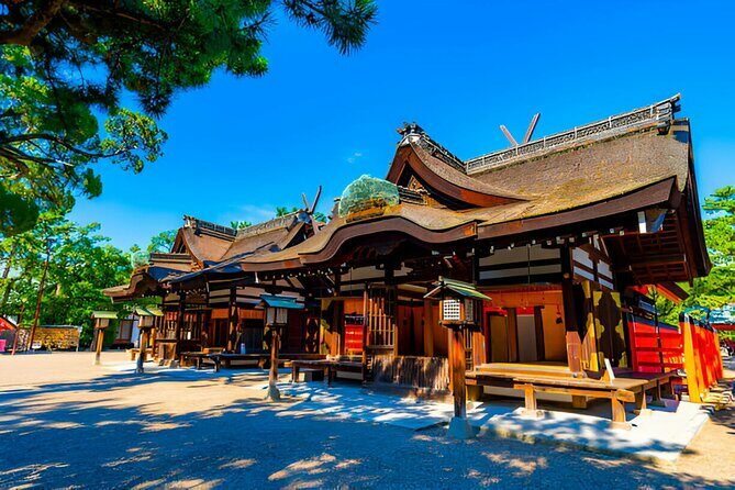 Osaka Private Tour with English-Speaking Driver - In-Depth Review of the Osaka Private Tour