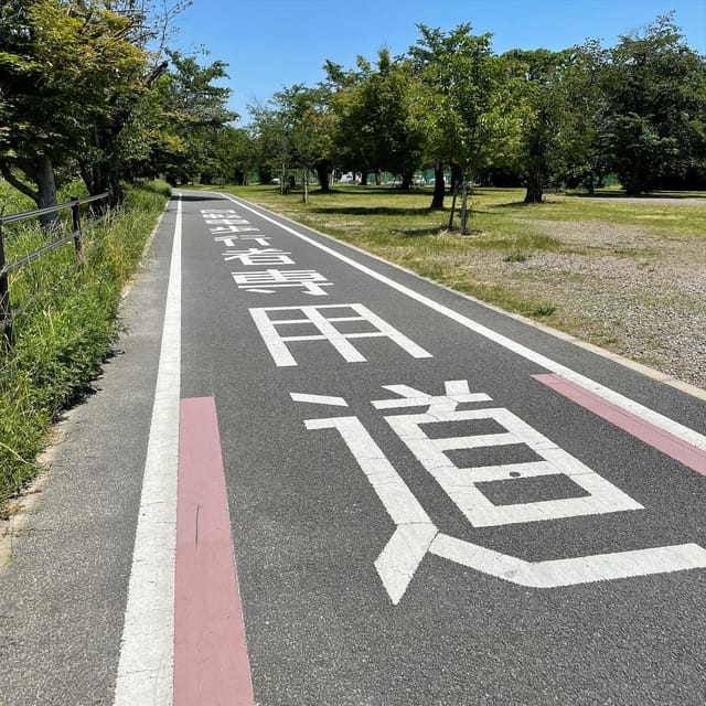 Osaka: Rent a Road Bike in Osaka and Return in Kyoto! - Suitability and Restrictions