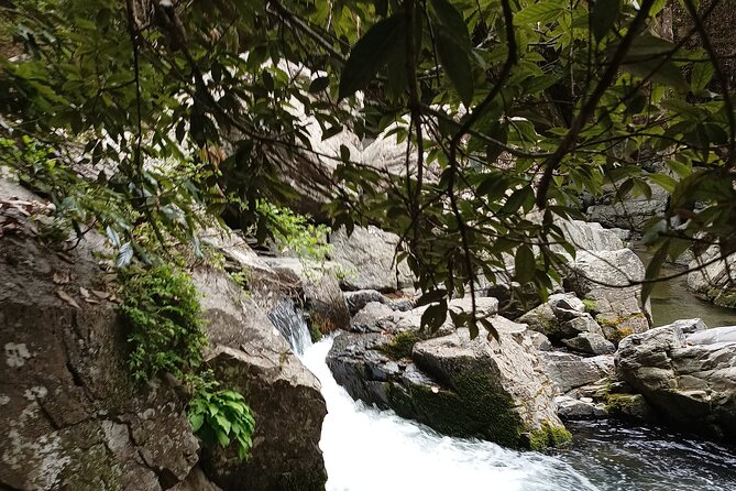 Osaka River Rapids Hike and Natural Hot Spring Tour - Tour Details