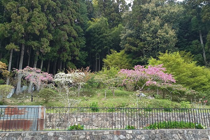 Osaka River Rapids Hike and Natural Hot Spring Tour - Accessibility and Recommendations