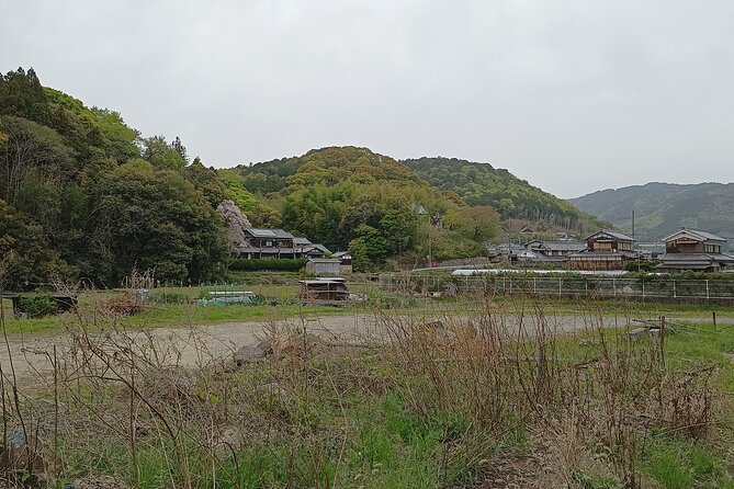 Osaka River Rapids Hike and Natural Hot Spring Tour - Exploring the Osaka River Rapids