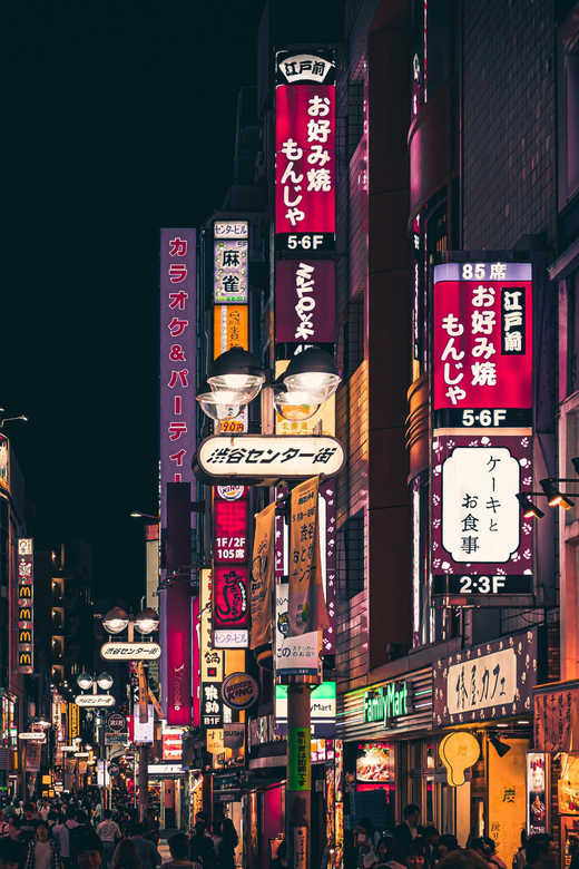 Osaka: Shopping Day in Denden Town (Electric Town) - Tour Highlights
