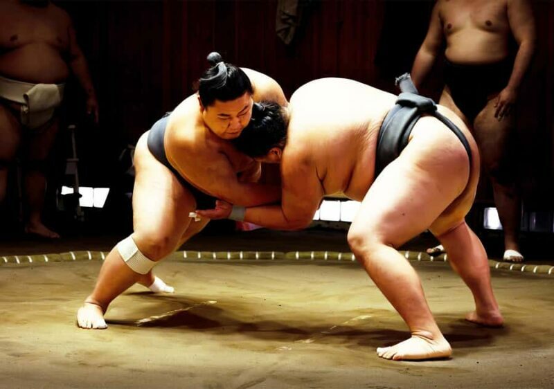 Osaka: Sumo Experience - Live Show & Audience Challenge - Key Points