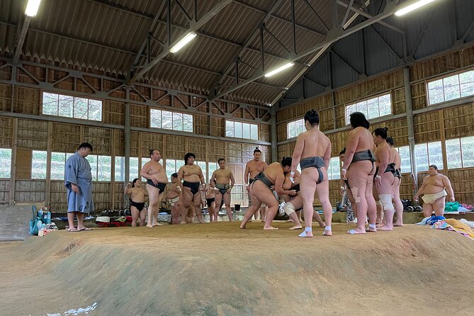 Osaka Sumo Morning Practice Watching Experience - Gaining Deeper Appreciation for the Sport