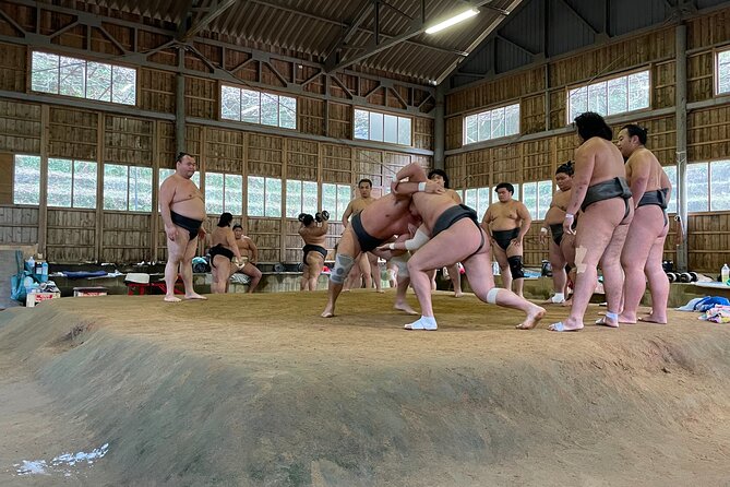 Osaka Sumo Morning Practice Watching Experience - Logistics and Practical Information