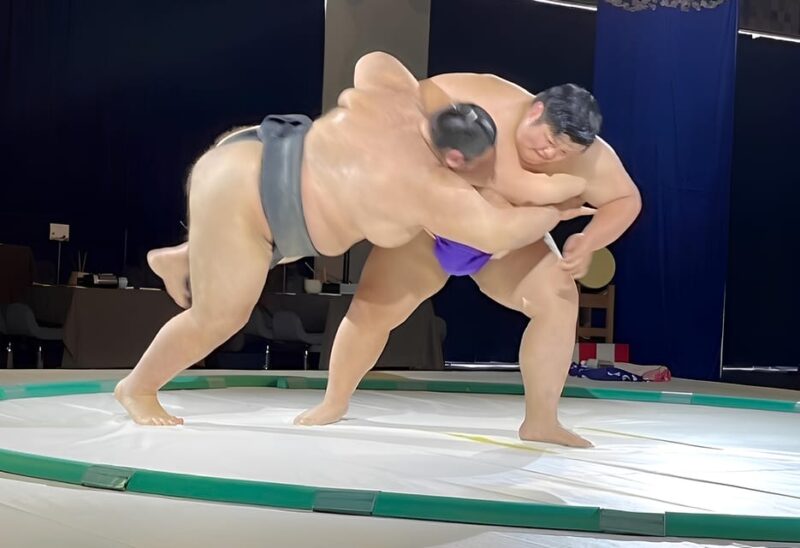 Osaka: Sumo Show & Experience W/ Optional Kimono & Hot Pot - Show Timings and Accessibility
