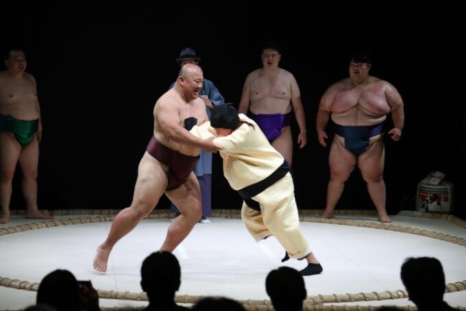 Osaka: Sumo Stage Show With Bento & Fight + Photo Shooting - Customer Ratings and Feedback