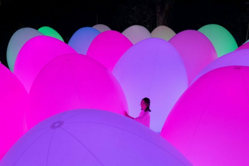 Osaka: teamLab Botanical Garden Entry Ticket - Key Points