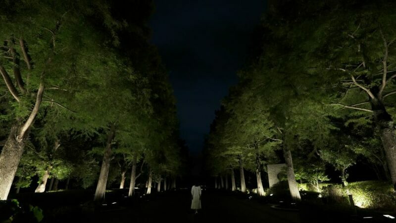 Osaka: teamLab Botanical Garden Entry Ticket - The Practicalities of Your Visit