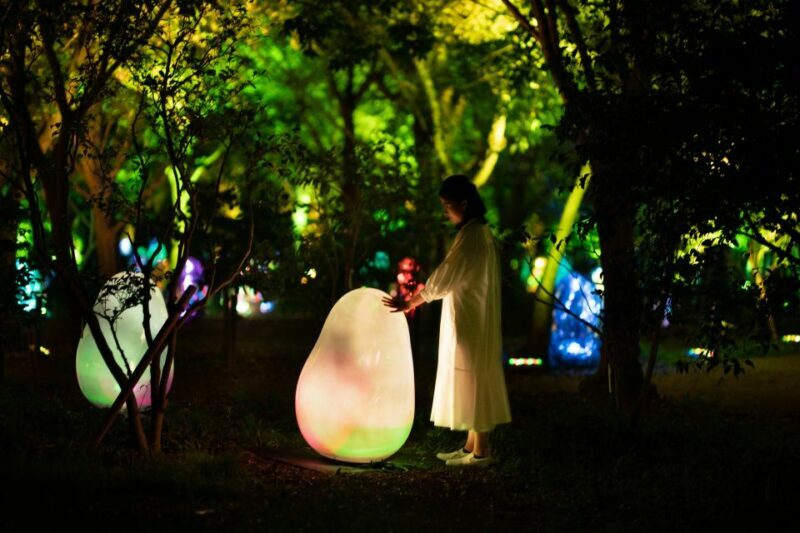 Osaka: teamLab Botanical Garden Entry Ticket - The Visitor Experience - From Daylight to Night