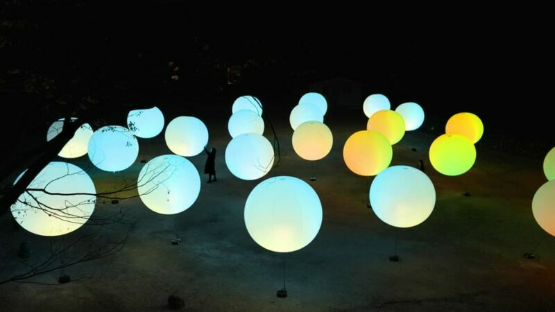 Osaka: teamLab Botanical Garden Entry Ticket - The Value of the Experience