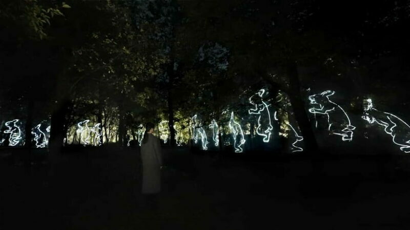 Osaka: teamLab Botanical Garden Entry Ticket - Who Will Love This?