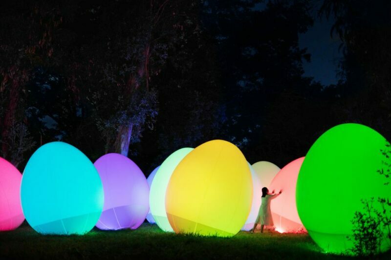 Osaka: teamLab Botanical Garden Entry Ticket - Final Thoughts