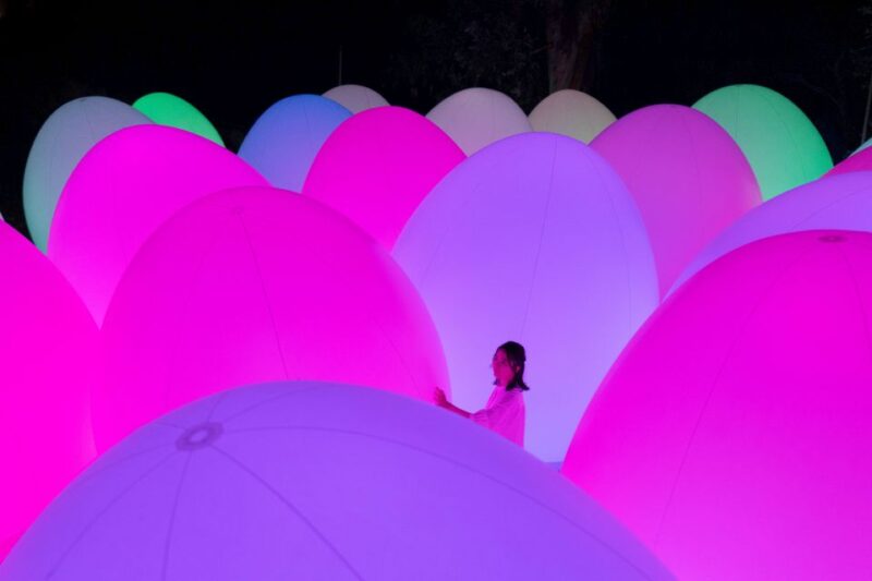 Osaka: Teamlab Botanical Garden Entry Ticket - Experience Highlights