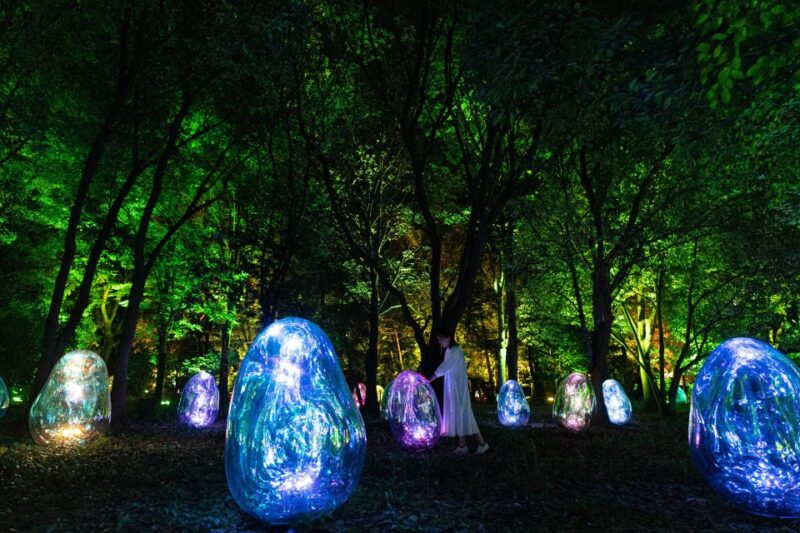 Osaka: Teamlab Botanical Garden Entry Ticket - Not Allowed