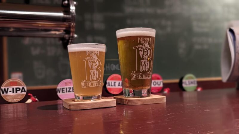 OSAKA : ULTIMATE 5 HOUR HISTORY FOOD WALKING TOUR - Culinary Experience