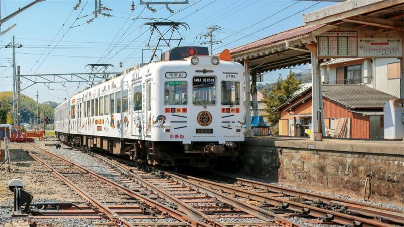 Osaka: Wakayama, Kishi Station, Shirahama and Coast Day Tour - Key Points