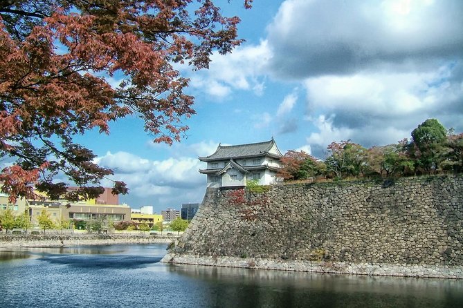 Osaka Walking Tour With a Licensed Guide - Highlights of the Osaka Walking Tour