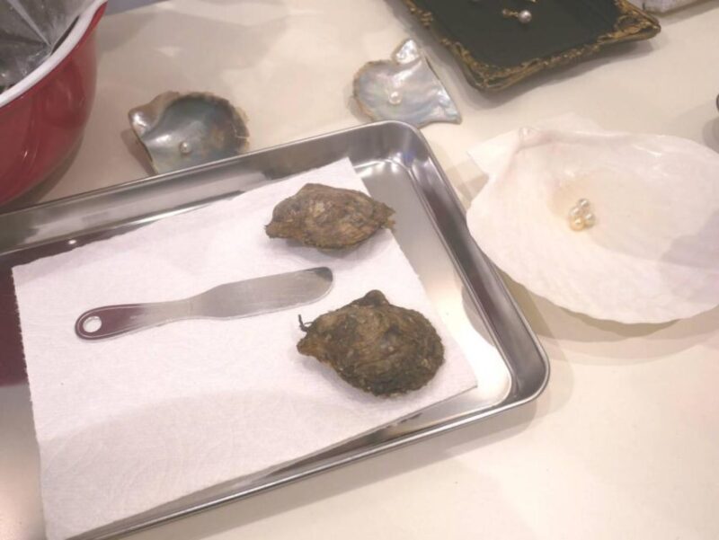 Osaka:Experience Extracting Pearls From Akoya Oysters - Unique Character of Akoya Pearls