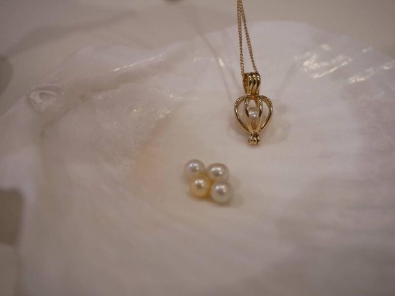 Osaka:Experience Extracting Pearls From Akoya Oysters - Estimated Cost for Accessories