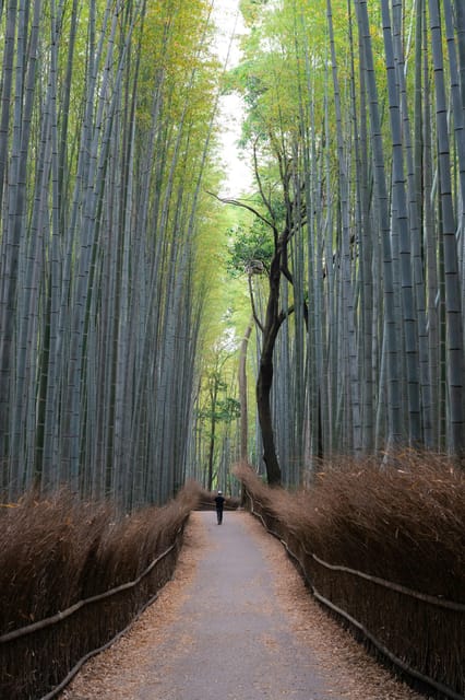 Osaka:Kyoto & Nara UNESCO World Heritage Sites Guided Tour - Itinerary Highlights