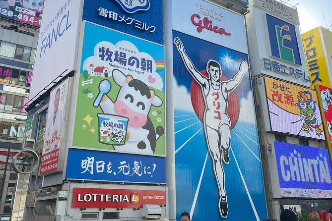 Osakas Anime Culture and History Walking Tour With a Local Guide - Experiencing Anime Through the Eyes of a Local