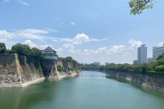 Osakas Anime Culture and History Walking Tour With a Local Guide - Navigating the Vibrant Anime Scene in Osaka